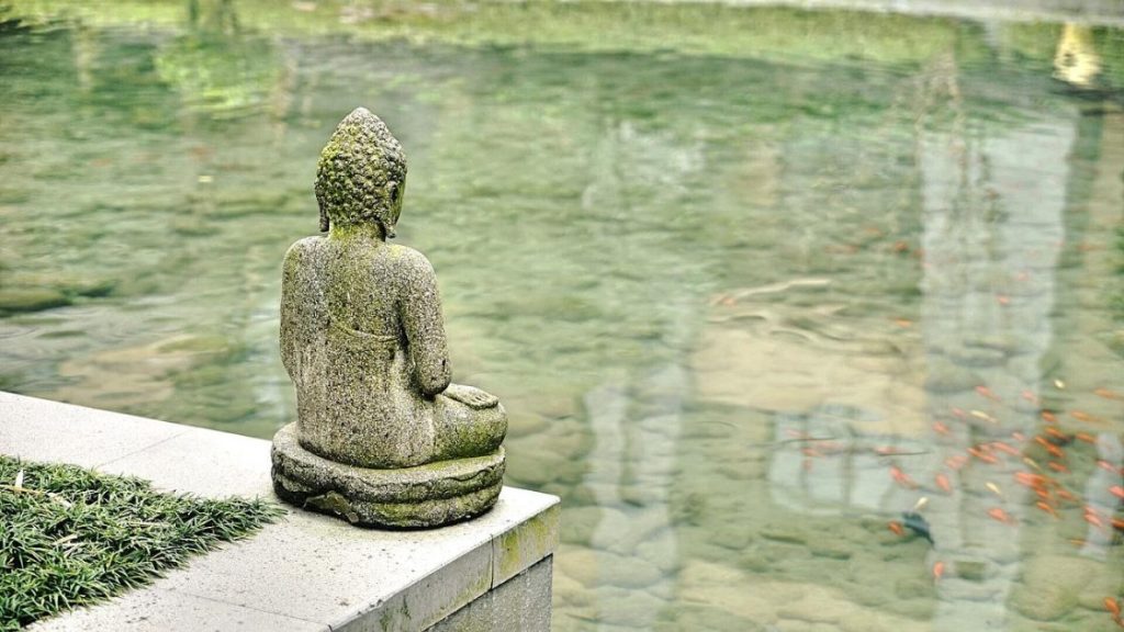 Terrasvijver in tuin met waterplanten en zitplek voor ontspanning